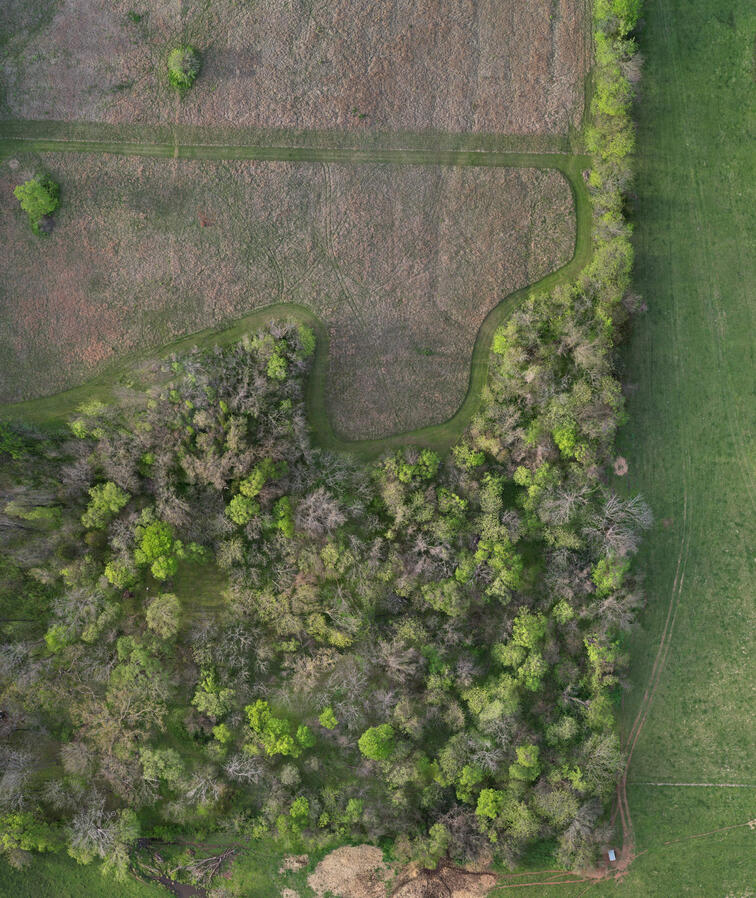 Walnut Grove, Mo